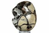 Septarian Dragon Egg Geode - Sparkly Black Crystals #336452-2